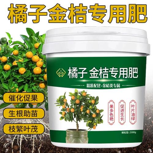 橘与金桔专用K肥 壮苗丰产的缓释型生物有机肥料全解析