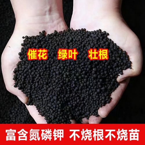 果蔬花卉通用生物有机肥——让盆栽与菜园焕发生机
